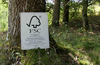 Illustration FSC